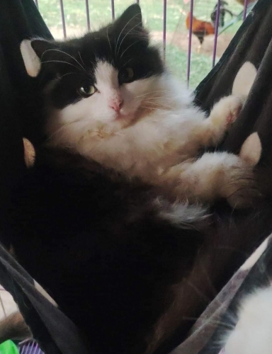 IMG_2150.jpeg