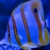 Haydenb902