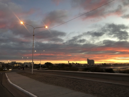IMG_8789.jpeg