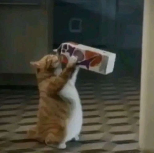 Screenshot_20230814_140745_TikTok.jpeg