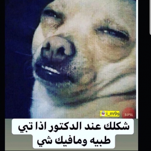 b8bf1be5-d394-4ac1-8074-0be2b9910040.thumb.jpeg.4f9948b7801428ae30f7ed5bf4c301d3.jpeg