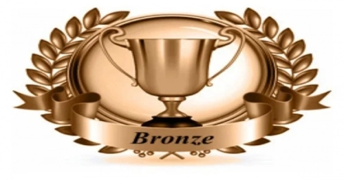 bronze-og.thumb.webp.497e2e504f08414256774b6f7d3cf006.webp