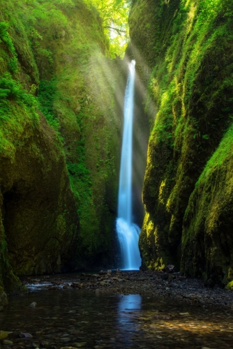 green.jpg