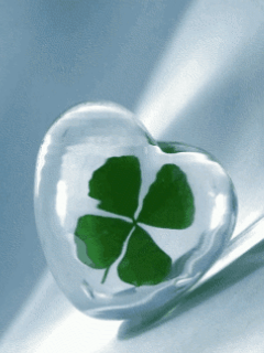 image.png.08eb1238aa2e3e7c8e5d3e82b68b677d.png