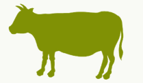 image.png.a3c41830269a006ac9f8a222f2238348.png