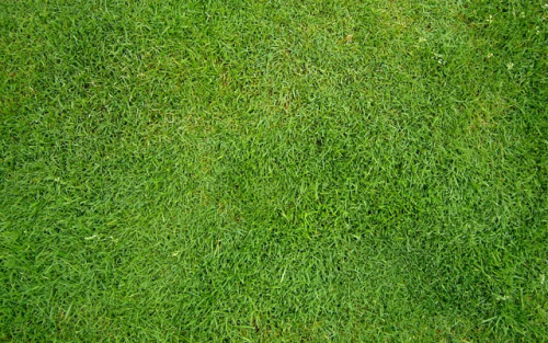 image.thumb.png.17e9768a80a54bb3bc2b1541f7e9bf87.png