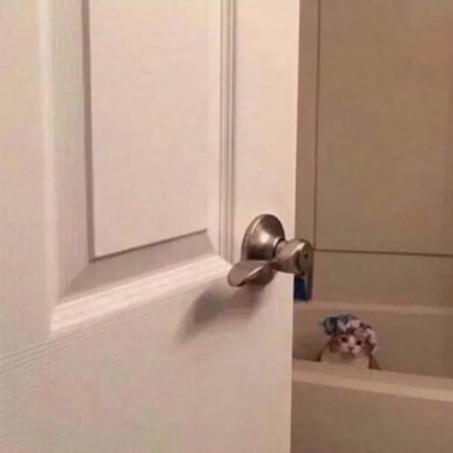 image.thumb.png.57987267bd0e2ce46fc7a6e11f0cab1e.png