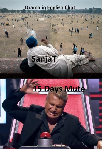 meme.jpg