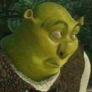 shrek.jpeg.85a043ac8fdc7470ed948a3edf2e5784.jpeg