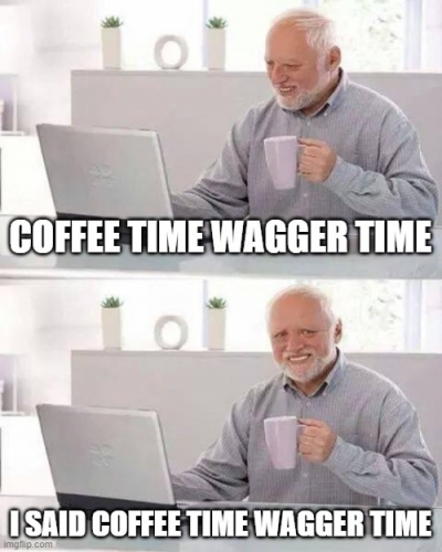 stakech.jpg