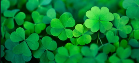 1236604249_LUCKYGREENCLOVER.png.cd982b5c63bdaf445b69bddee7615245.png