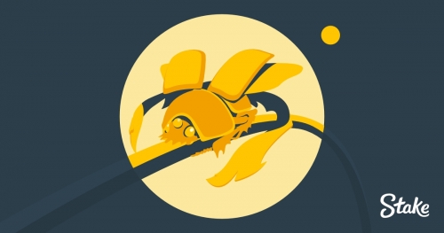 scarab spin-fb-3.jpg