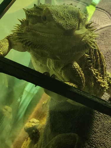 20230920_195915.thumb.jpg.cbdeb67a50f6c46088c7c31af413d3ba.jpg