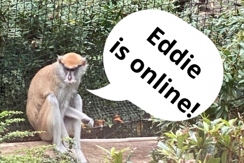 507E4FE2-C036-46E5-9E23-3A176CB14C57.jpeg