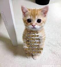 9aee8f53-8c4e-4752-aff9-f97d30444589.jpg.09aa3bb0f91389ecd16a057abc5cd37f.jpg