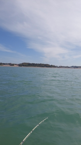 IMG-20231020-WA0044.jpeg