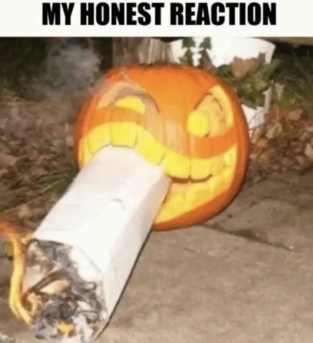 IMG_1012.jpeg