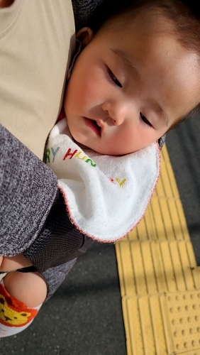 IMG_5378.jpeg