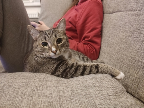 JMWMMZTNRl4.thumb.jpg.f1047074bdb5329970e2acb984ac7b17.jpg