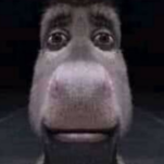 SkrtGAMLES