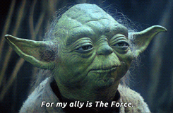 giphy.gif.e464b47e1ce0ca67901500b697f30cec.gif