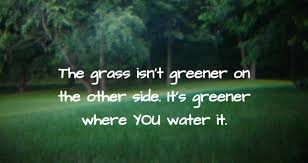 grass.jpg.76d3399d644d75194a6141e7b0407881.jpg