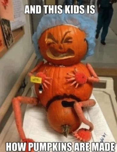 how-pumpkins-are-made-meme.jpg.webp