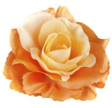 image.png.467612fc5495bbee23bd094d63d11d83.png
