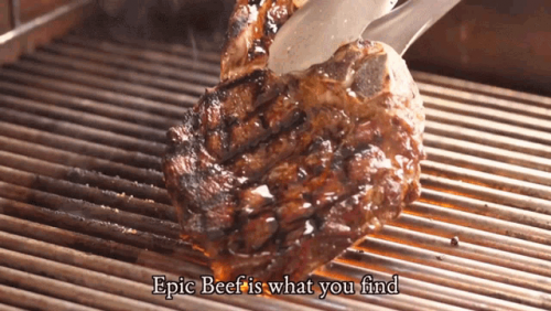 image.thumb.png.230940cd1ef7fb2bef38dcbca38e0077.png