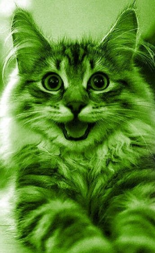 image.thumb.png.4a91d9d3ba0cff382d0c92398417352e.png