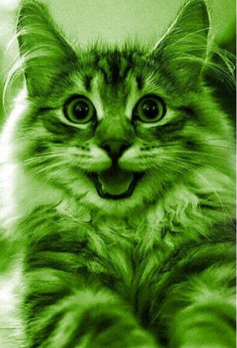 image.thumb.png.805f0dac05c9de343cb03ede8084d446.png