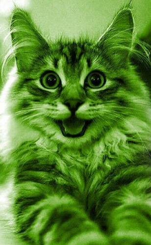 image.thumb.png.a23ca359ded48b278d6951762b3c5e27.png
