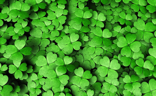 image.thumb.png.c8ab8c903f185a73c954f4f6152d757b.png