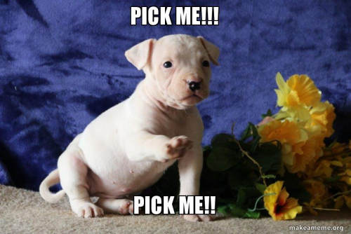 image.thumb.png.e7d5f27248fca17a22b1eadc17f4c3ce.png