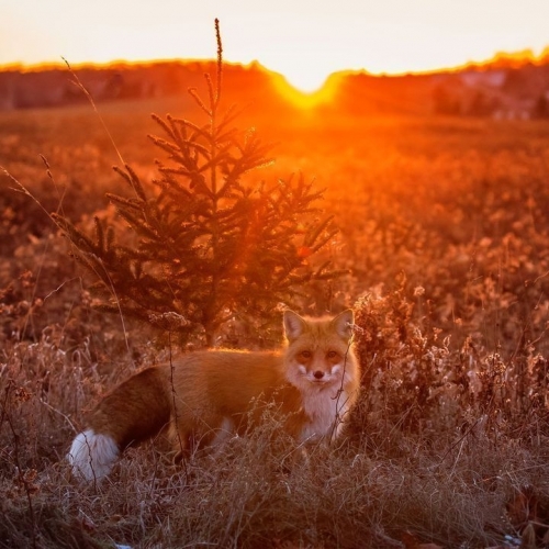 015e0dd8e7b64abbd18f1992510e7c6e.thumb.jpg.8f3bea53bd475bbacd88943f47354b33.jpg