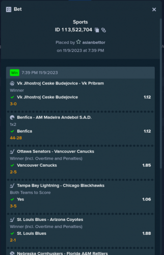 Screenshot 2023-11-11 020920.png