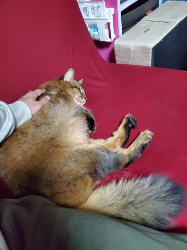 20231109_015436.jpg