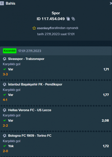 Ekran görüntüsü 2023-11-28 005401.png