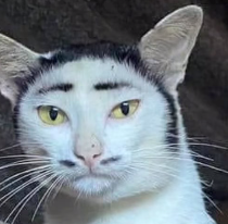 hhkkkk.PNG.a5704650dabb16c55f9aa044077a120d.PNG