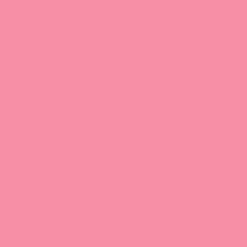 image.png.e35507c86f22c1d4f8caa5bb1e6a4b22.png