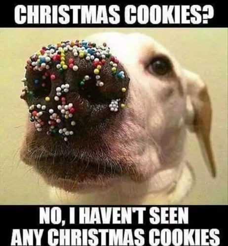 image.thumb.png.727177a354f8fa157f4559d2e791de0a.png