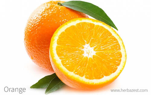 image.thumb.png.81e72a799f427a61af4936750a9ec7fb.png