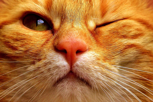 image.thumb.png.d044adbe6f6b2850c69384fef62f1d5e.png