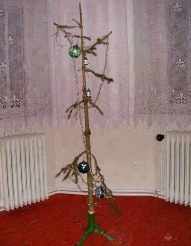 1672176870_www-funnyart-club-p-smeshnaya-yelka-smeshno-10.jpg