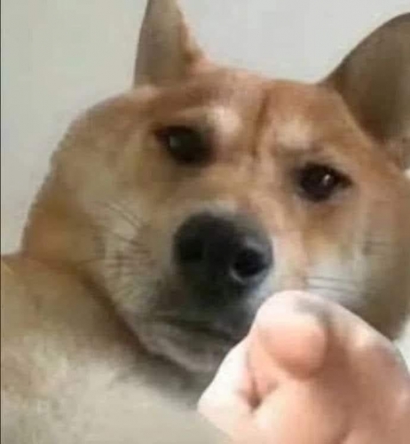 278770754_956486378567941_1885058230085526456_n.jpg
