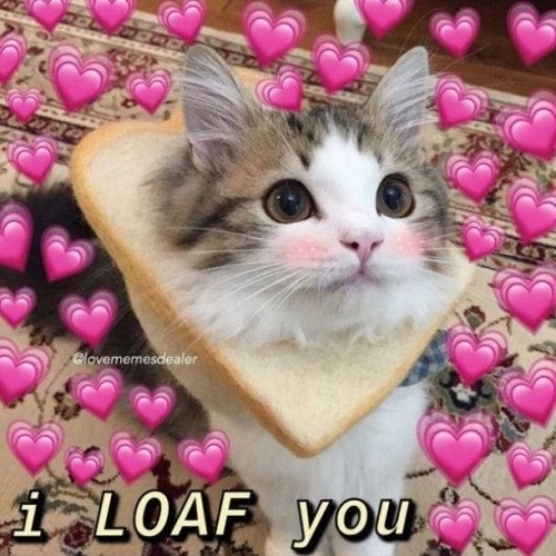 The 100 Best 'I Love You' Memes That Are Cute, Funny & Romantic All At The Same Time.jpeg