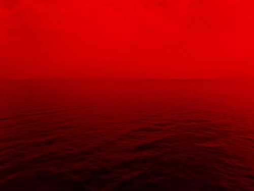 images (4).jpeg