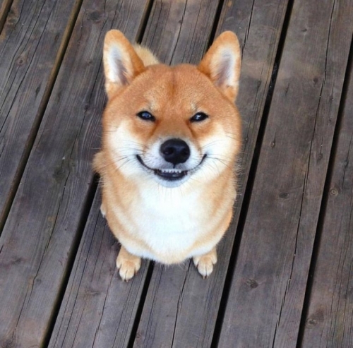 AE01FE19-363F-4F3B-BCEB-02D32C085A27.jpeg