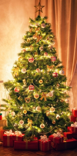 Christmas-tree.jpg