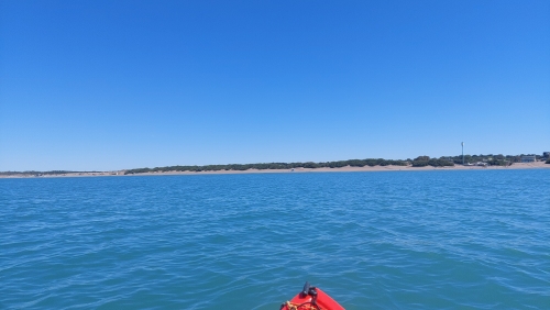IMG-20231104-WA0020.jpeg